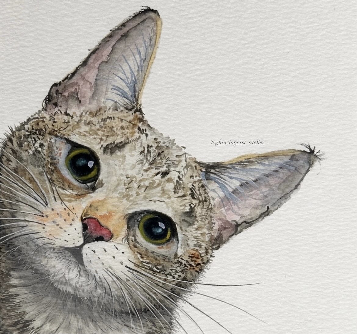 Katzenportrait